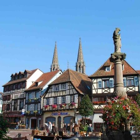 Le Carrousel - Appartement Cosy Centre Obernai Bagian luar foto