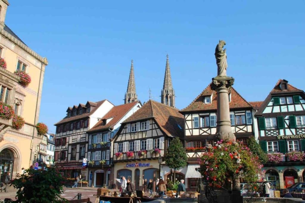 Le Carrousel - Appartement Cosy Centre Obernai Bagian luar foto